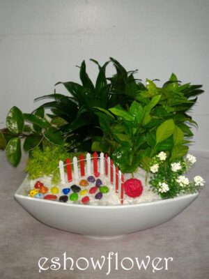 編號:E0031----祝賀盆景