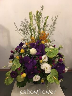 編號:C0002----迎新盆花