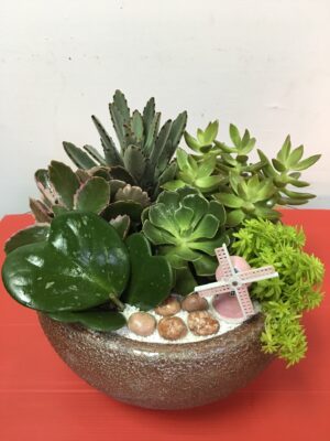 編號:E0026----多肉祝賀盆景