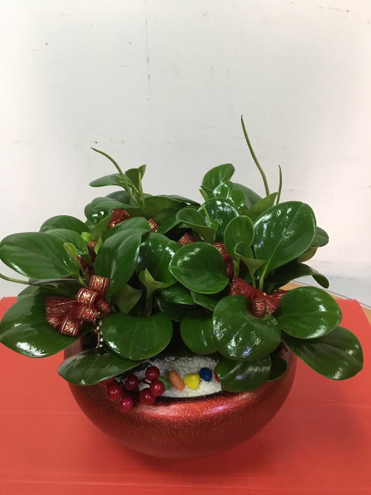 編號:E0027----祝賀盆景