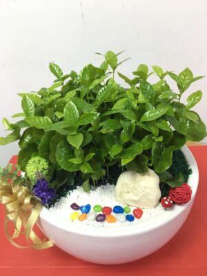 編號:E0028----祝賀盆景