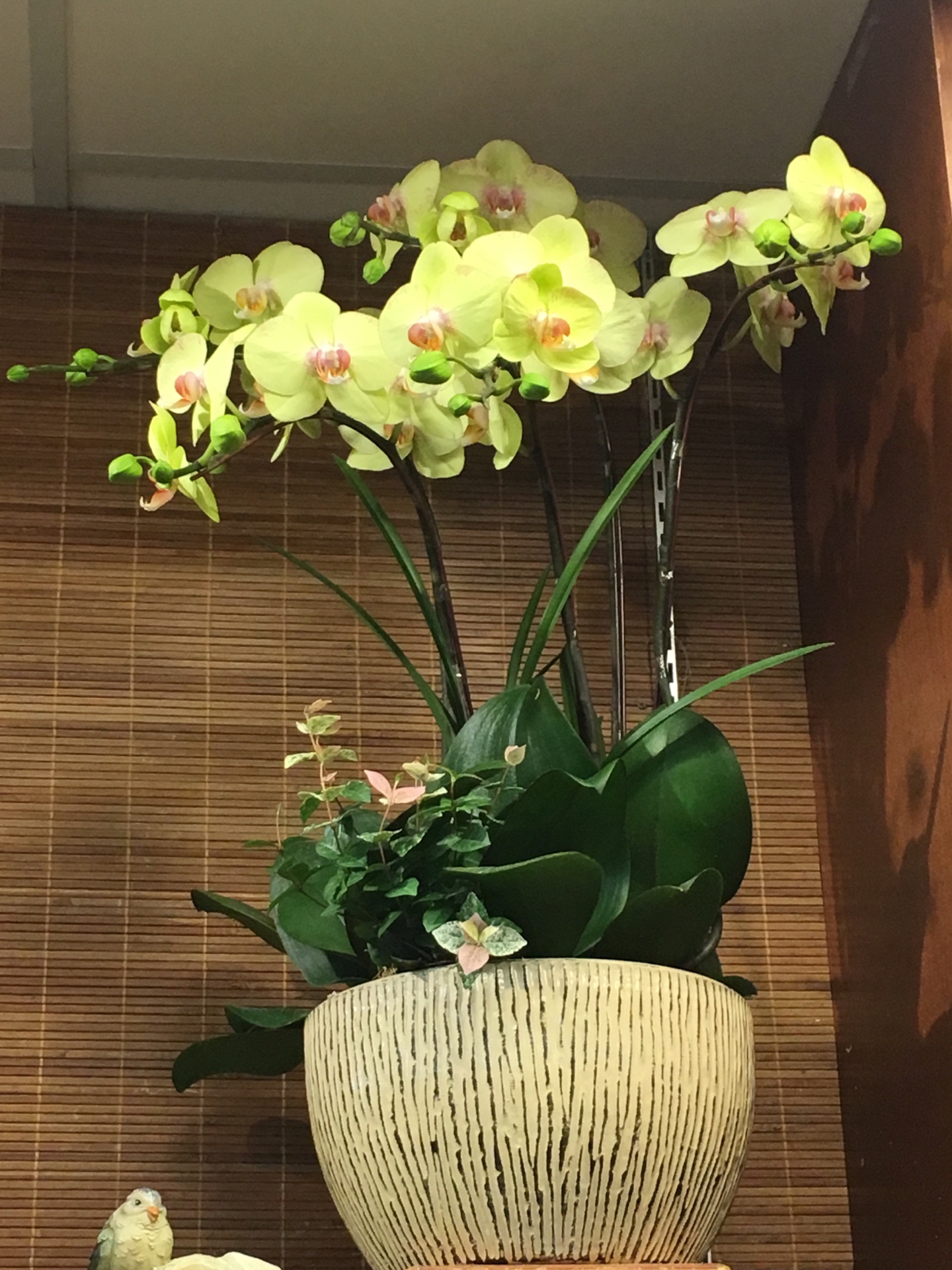 編號:D0026----黃金高陞蘭花盆