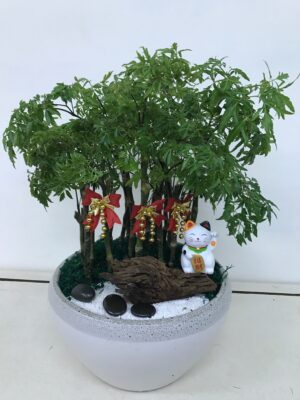 編號:E0035----招財貓祝賀盆景