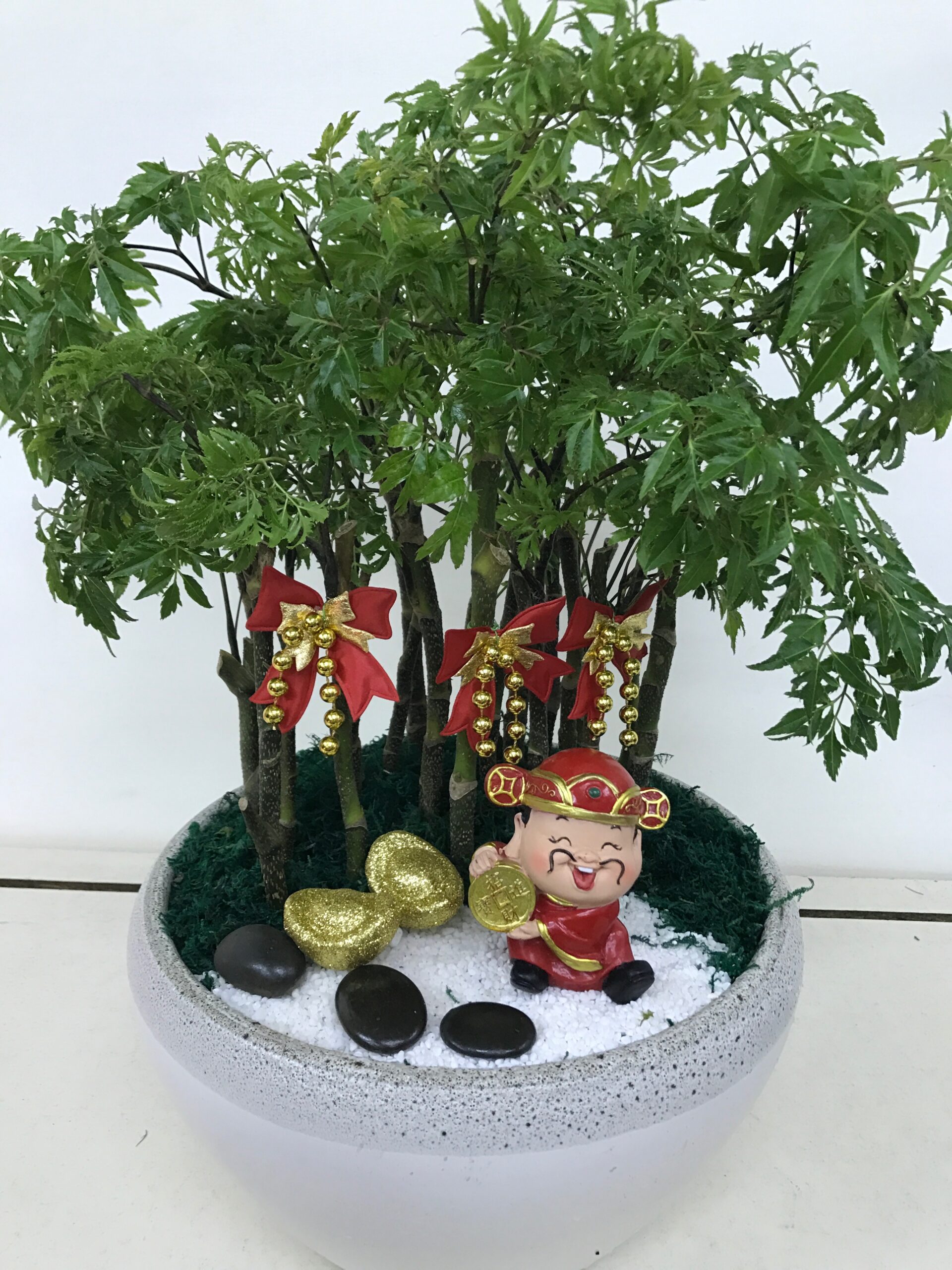 編號:E0005----財神爺福祿桐盆景 35*35*60