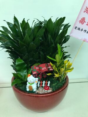 編號:E0025----阿波羅祝賀盆景 祝賀盆景