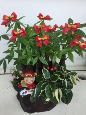 編號:E0015----財神招財 祝賀盆景