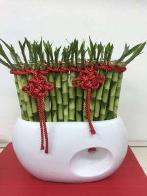 編號:F0003----高雅人氣開運竹