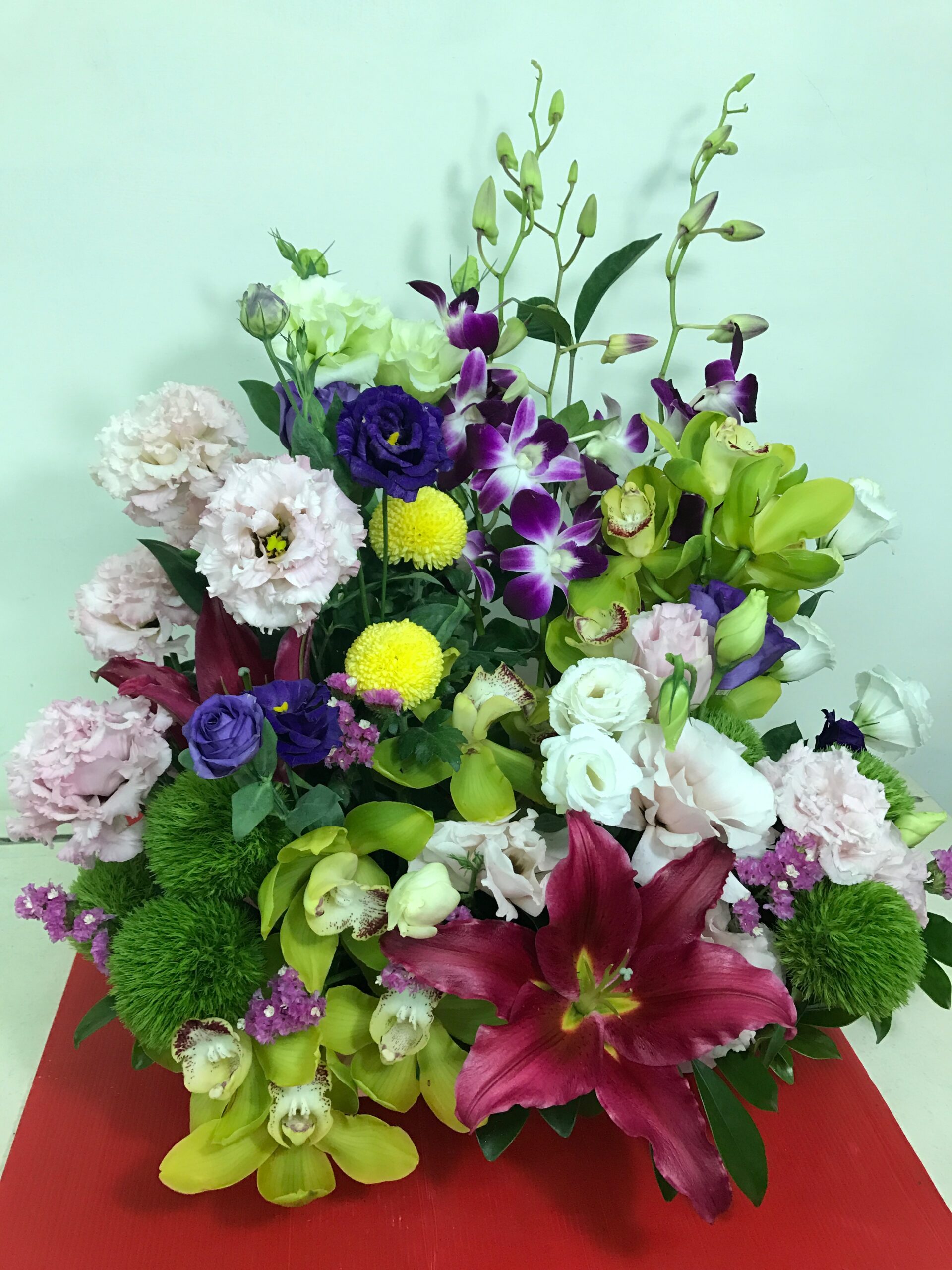 編號:C0003----七彩迎新虎頭蘭盆花