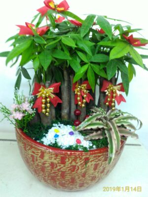 編號:E0013----招財樹祝賀盆景 26*26*48