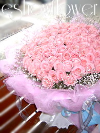 編號:V0028----  99(粉)求婚花束