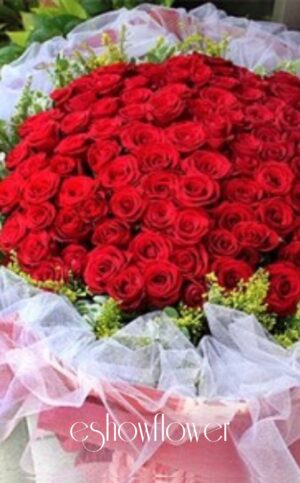 編號:V0029----  99(紅)求婚花束