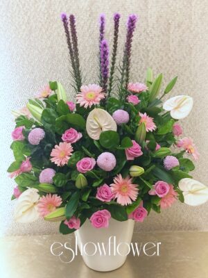 編號:C0024----粉喜盆花(不同盆器)