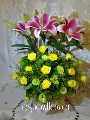 編號:C0023----黃玫瑰元氣盆花