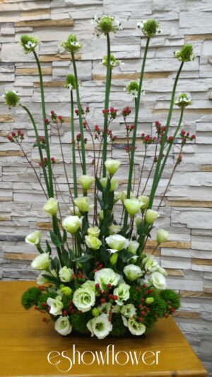 編號:C0013----桔梗盆花