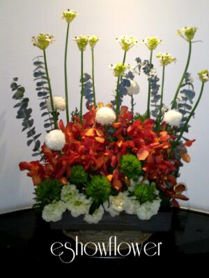 編號:C0006----設計盆花