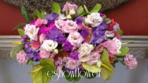 編號:C0020----迎新盆花