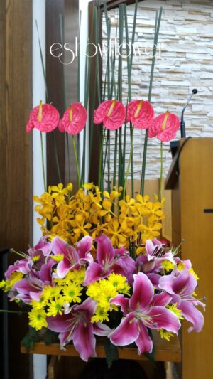 編號:C0014----展望盆花