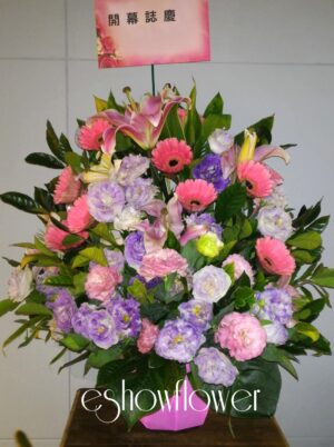 編號:C0007----商業盆花