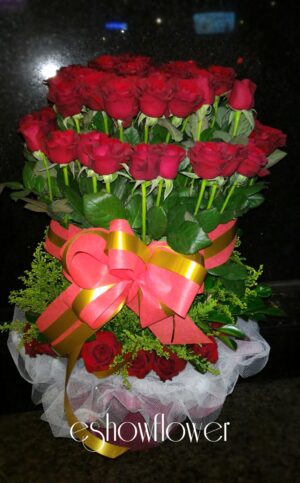 編號:C0005----珍愛盆花