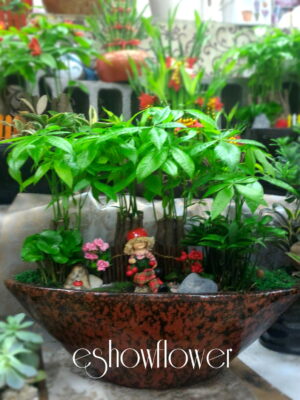 編號:E0034----船型招財祝賀盆景