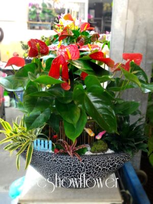 編號:E0010----船型祝賀盆景