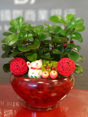 編號:E0002----招財貓圓金錢週年價(大)26*26*30