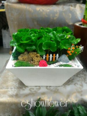 編號:E0011----祝賀盆景