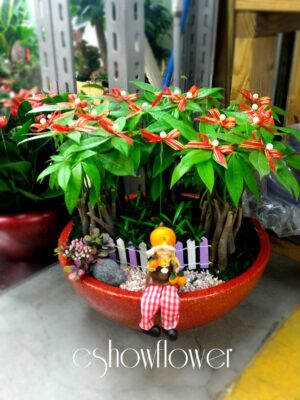 編號:E0032----玩偶發財祝賀盆景