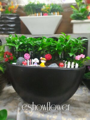 編號:E0014----船型咖啡祝賀盆景