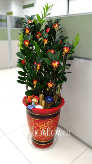 編號:EH0059----金錢紅盆祝賀盆景