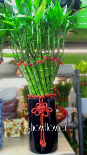 編號:F0019----文藝開運竹