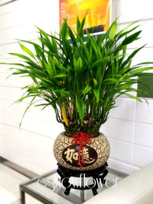 編號:F0005----如意開運竹