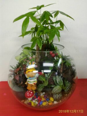 編號:E0012----公仔10吋玻璃屋盆景