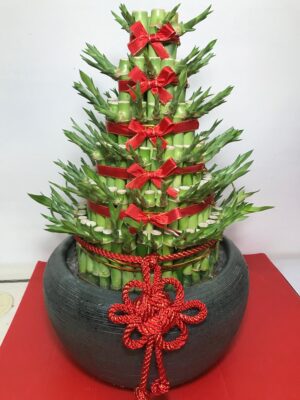 編號:F0001----迎財開運竹(手拉坯盆)